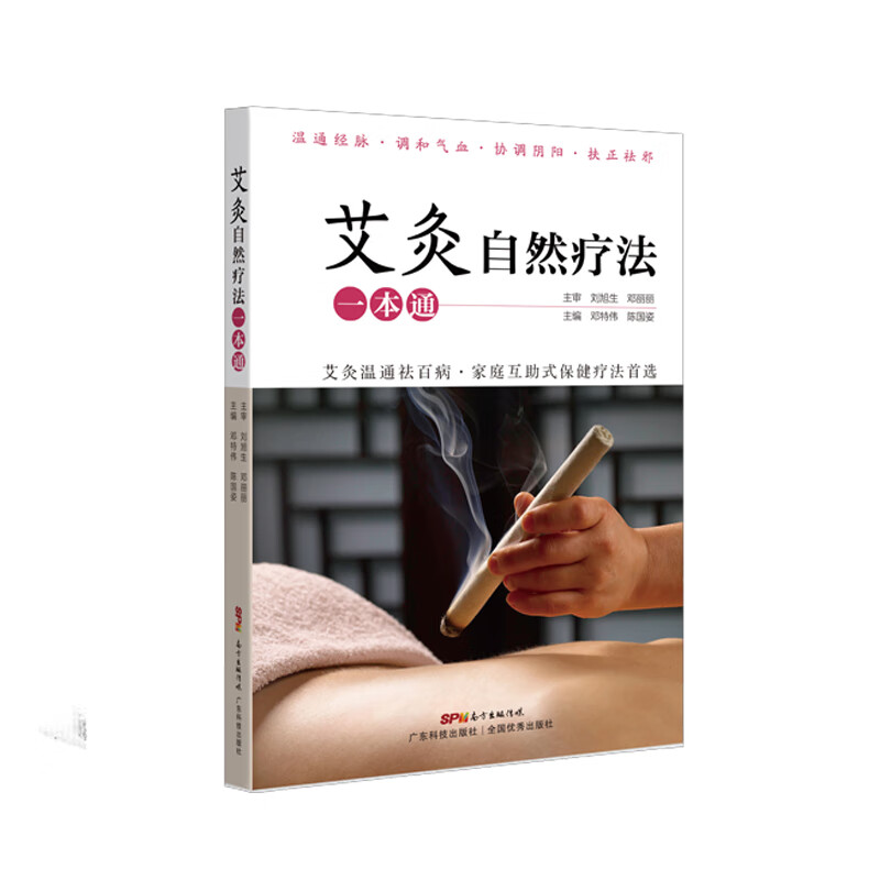 艾灸自然疗法一本通 陈国姿 邓特伟 书籍