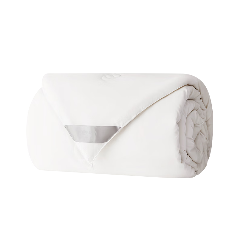 网易严选蚕丝被夏被被芯A类100%天然蚕丝400克220*240cm白色