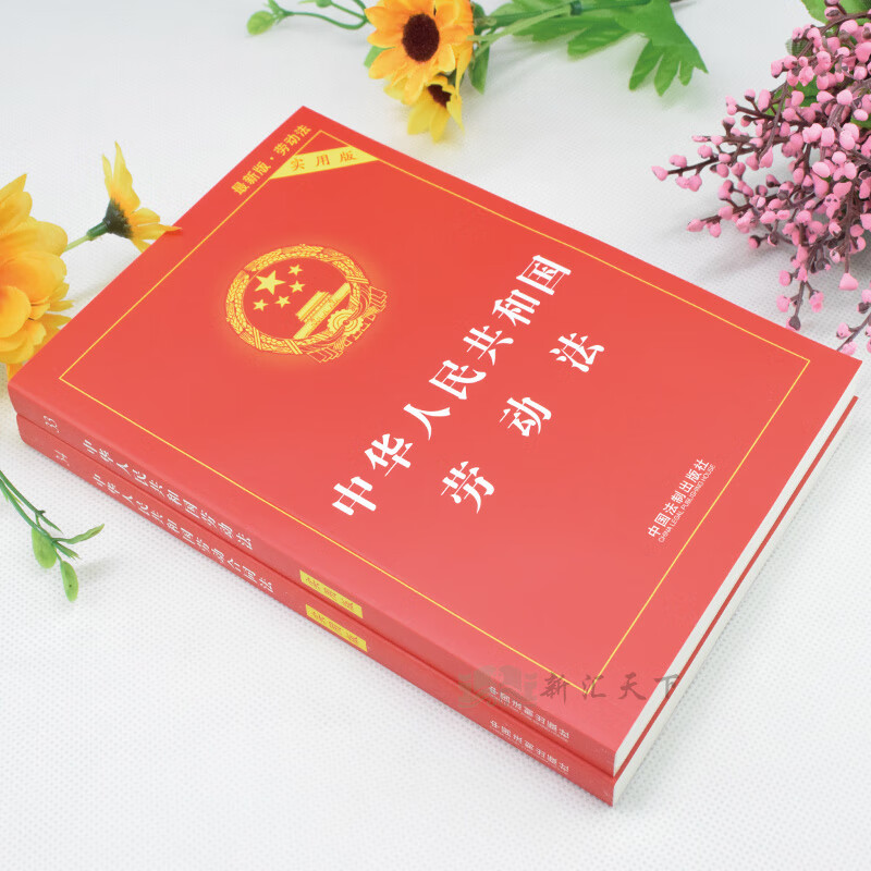 【套装】2023适用正版劳动法+劳动合同法 实用版 中华人民共和国劳动法纠纷法及司法解释小红本 劳动法书籍
