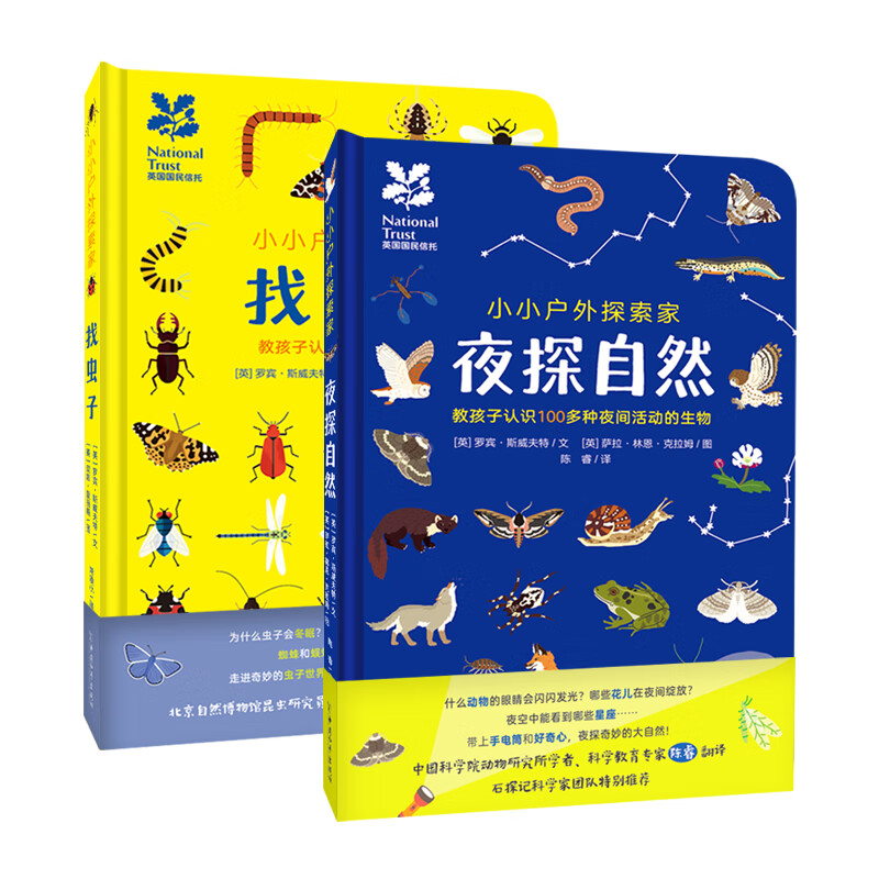 大眼鸟童书小小探索家夜探自然 找虫子全2册6-12岁科普书籍 探索指南
