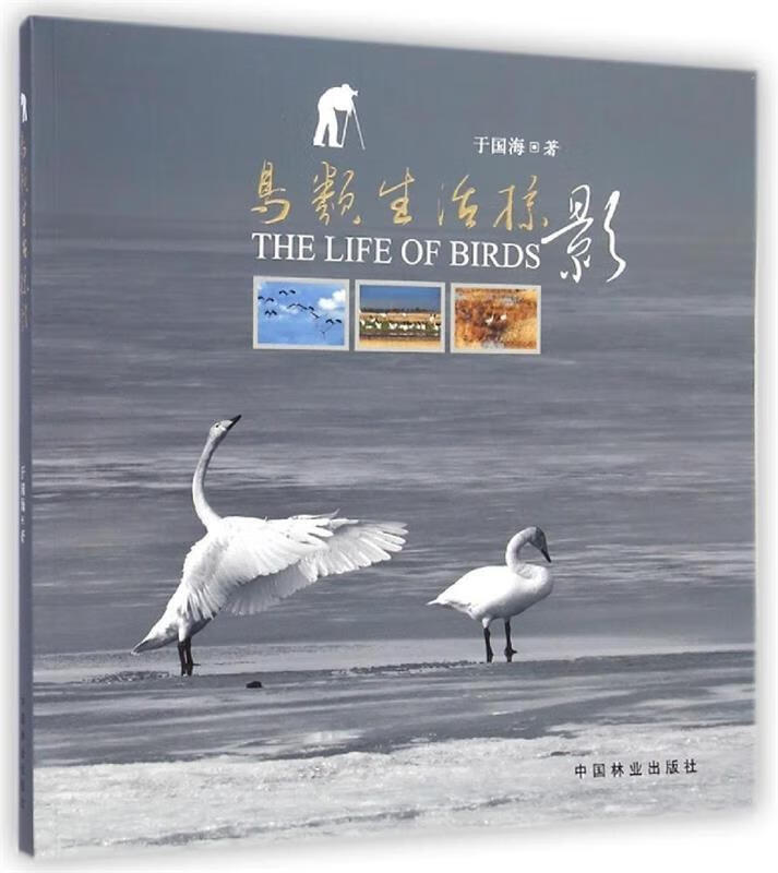 鸟类生活掠影 于国海 著 9787503