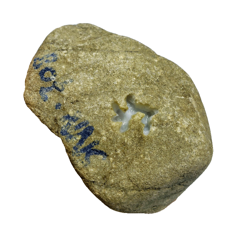 旭萃 xc2899—329克后江江牌子料 翡翠原石玉石原石毛料