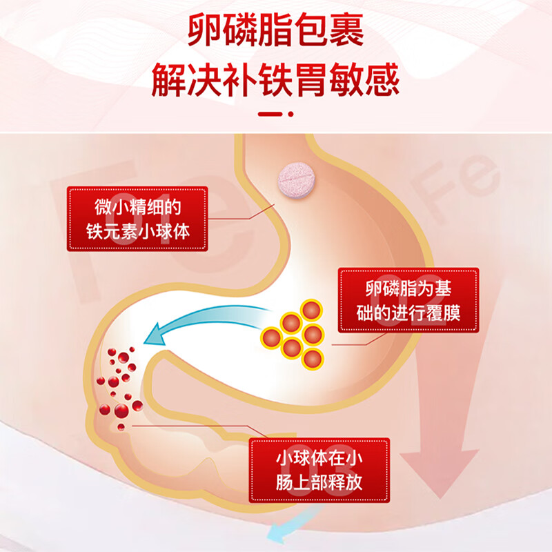 Huebner郝柏娜Eisen德国VITAL孕妇补铁VC维生素果蔬咀嚼片叶酸片备孕30片 【尝鲜体验】 30片*1盒