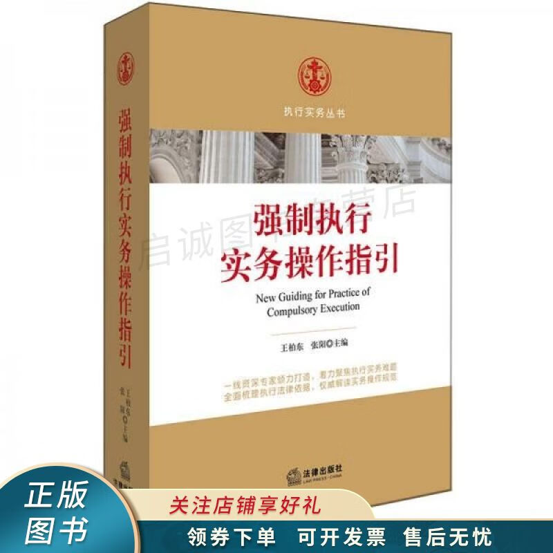 强制执行实务操作指引 王柏东
