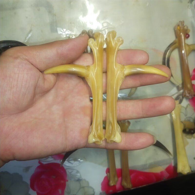 文玩鸡蹬子 文玩鸡爪骨把件文玩老鸡拐子老公鸡蹬子文sn6833 精品玉化