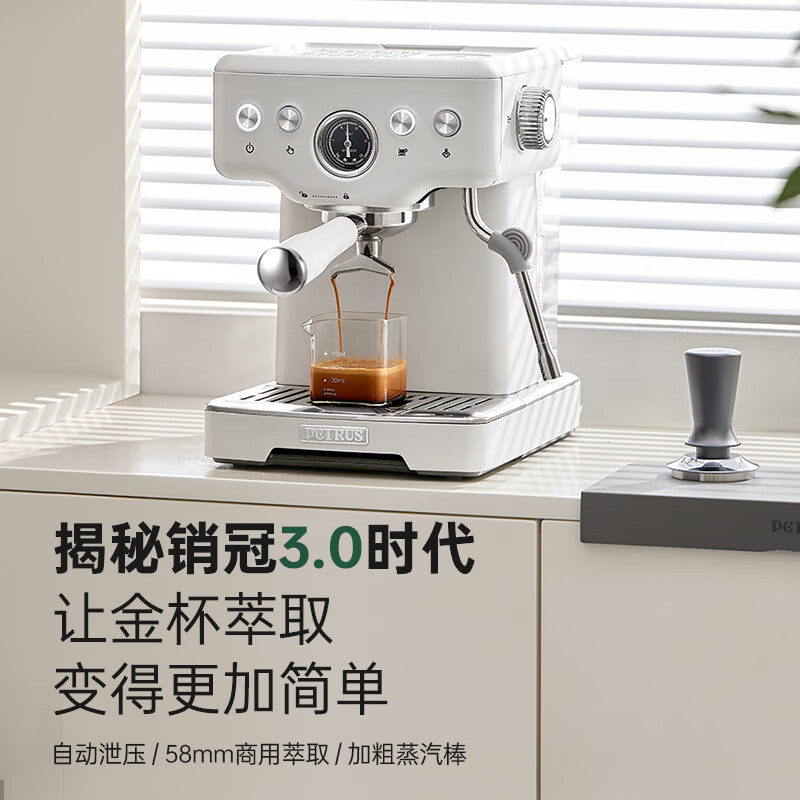 柏翠（petrus）咖啡机意式浓缩家用小型半自动蒸汽打奶泡 PE3833 海盐小方pro 1号会员店