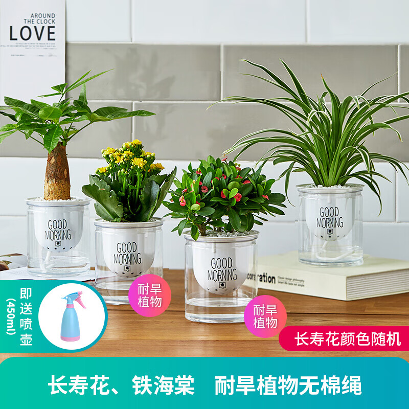 京东超市 2020-09-21 - 第30张 | 最新购物优惠券 京东超市 2020-09-21 - 第30张 | 最新购物优惠券