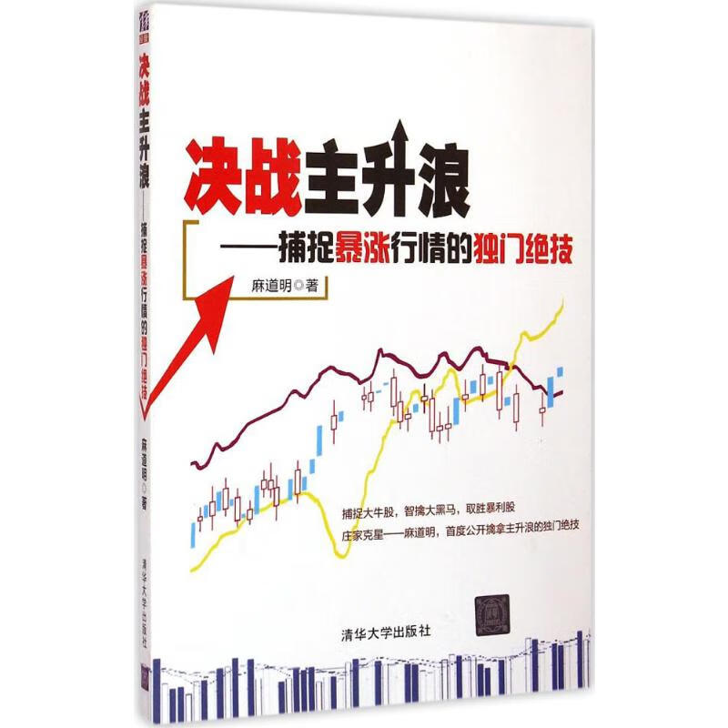 决战主升浪:捕捉暴涨行情的独门绝技 麻道明  书籍