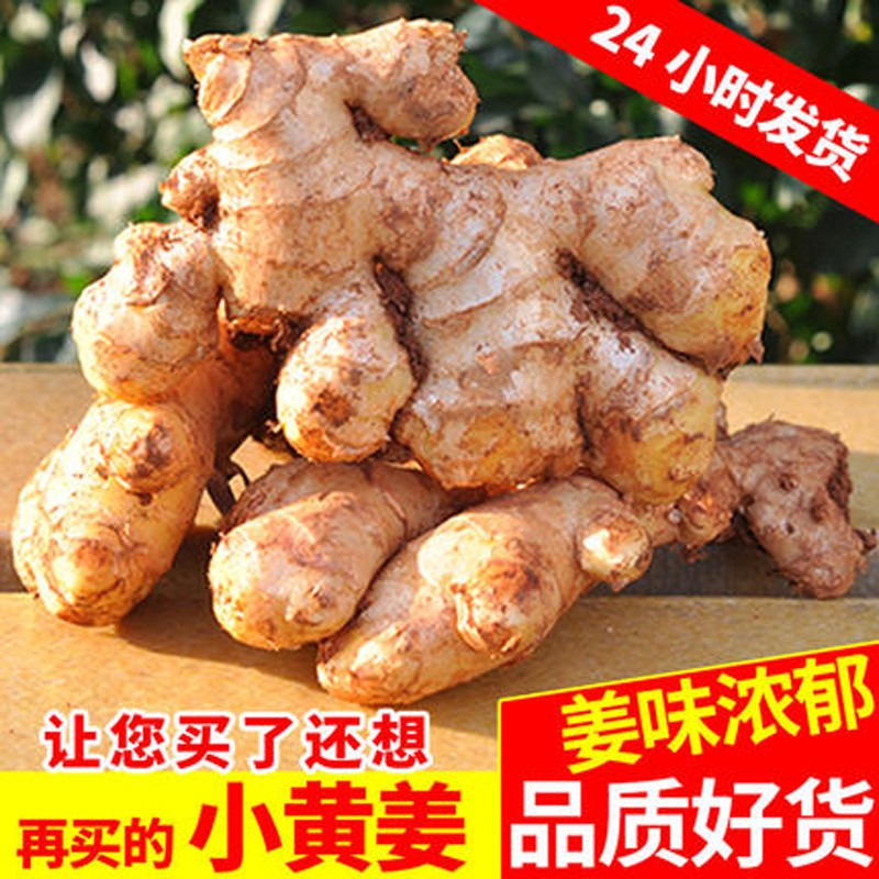 云南小黄姜带箱9斤新鲜蔬菜月子姜土姜辛辣 9斤 小黄姜