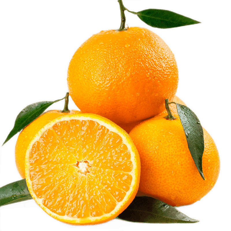 【产地直发】湖南麻阳冰糖橙子 现摘甜橙 精选大果 新鲜水果甘甜多汁 果园直发 5斤装大果
