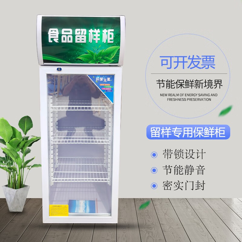 食品留样柜小型冰箱幼儿园带锁食堂学校厨房保鲜展示冷藏家用迷你 60x52x148cm