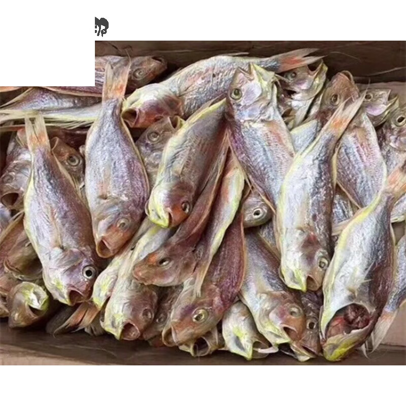 虎钢馋阳江一夜埕咸鱼干海陵岛特色红三线鱼干 海产品干货 500克装