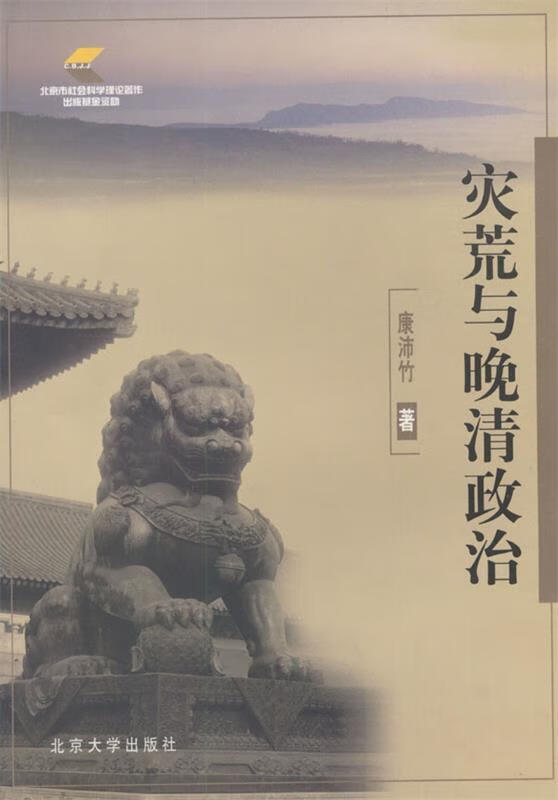 灾荒与晚清政治 康沛竹 著【正版】