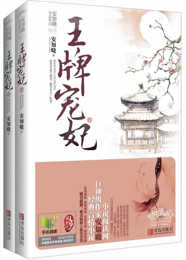 宠妃 安知晓著【正版书】