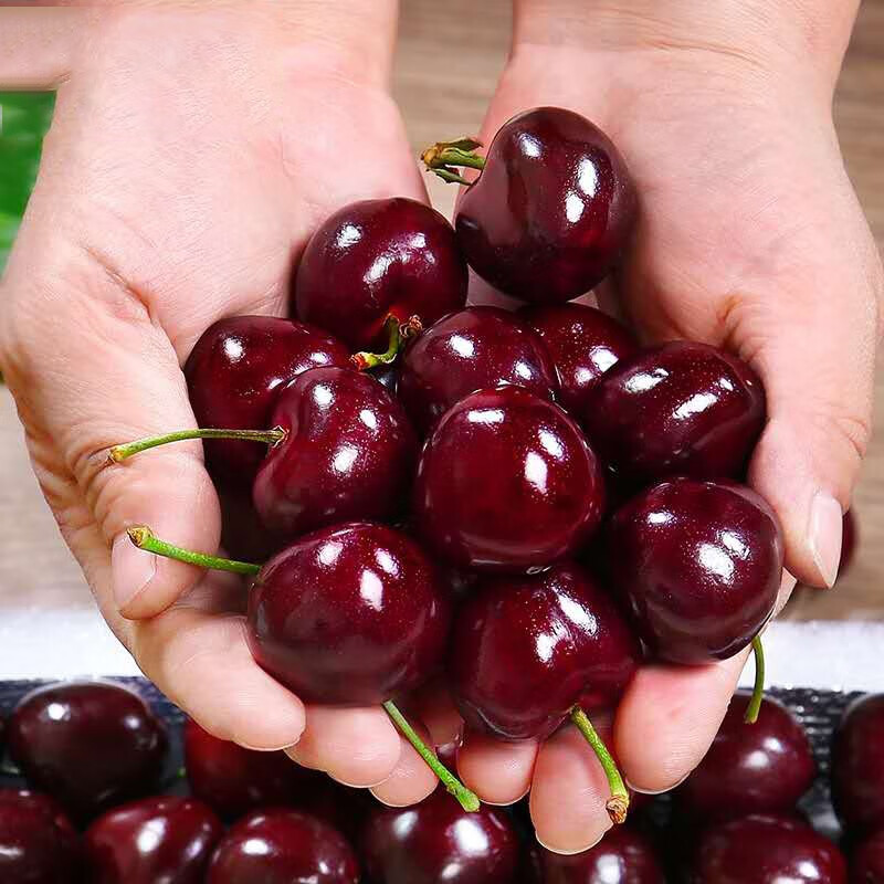 皓谦【京鲜配送】车厘子黑珍珠新鲜大车厘子大樱桃水果 500g