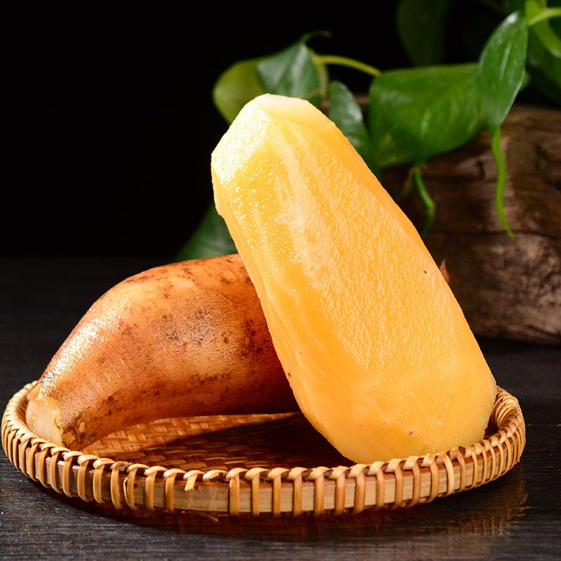 金百粟云南天山雪莲果 当季水果新鲜低糖水果现挖现发黄心大果整箱 净重5斤【脆嫩爽口】气柱包装