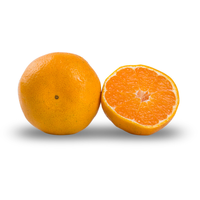 湖南石门桔子果园现摘蜜桔薄皮橘子新鲜柑桔 净重5斤装 单果55MM以上