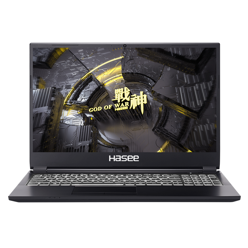 神舟(HASEE) 战神K670系列 英特尔酷睿/奔腾处理器 8G内存 IPS高清屏 游戏笔记本电脑 K670T-G4A2|G6400+MX350