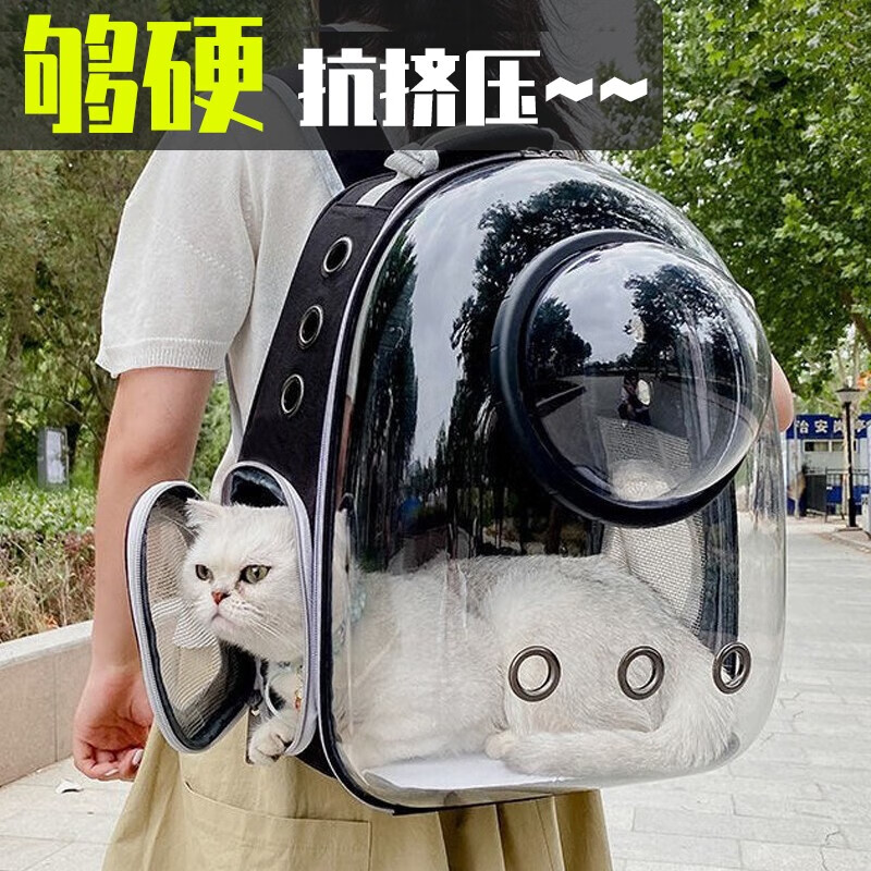 详细探讨茨格曼双肩包猫包怎么样？使用后的评价