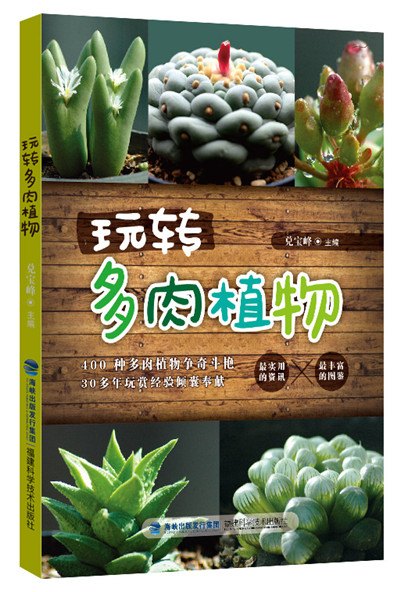 玩转多肉植物