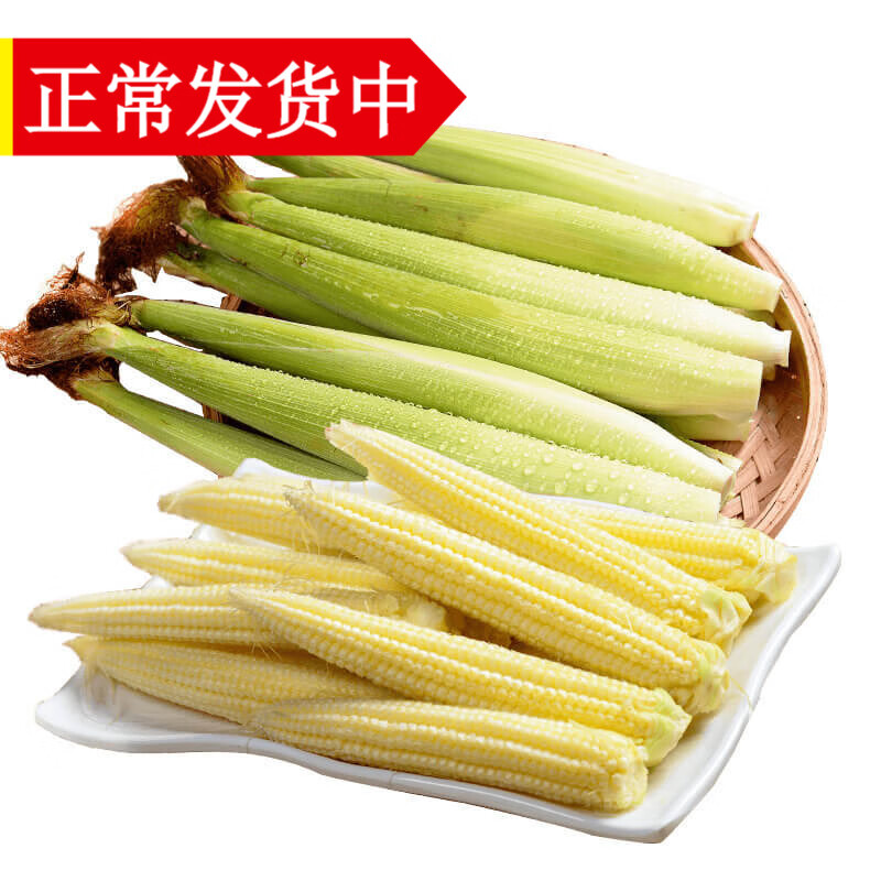辰实玉米笋 广西新鲜 小玉米笋带须 嫩玉米棒 水果玉米蔬菜 5斤