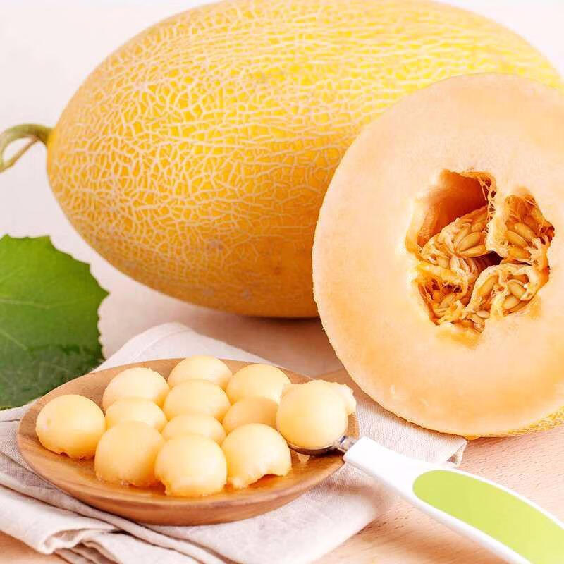 新疆吐鲁番哈密瓜黄皮密瓜2个装 脆甜多汁 新鲜当季水果 团建新年送礼