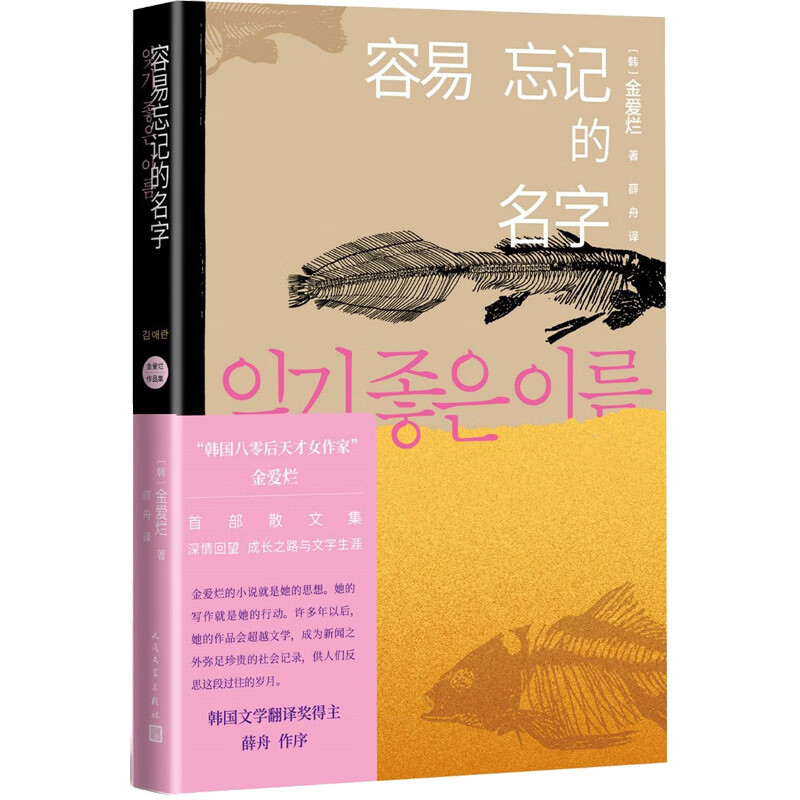 容易忘记的名字(金爱烂作品集)