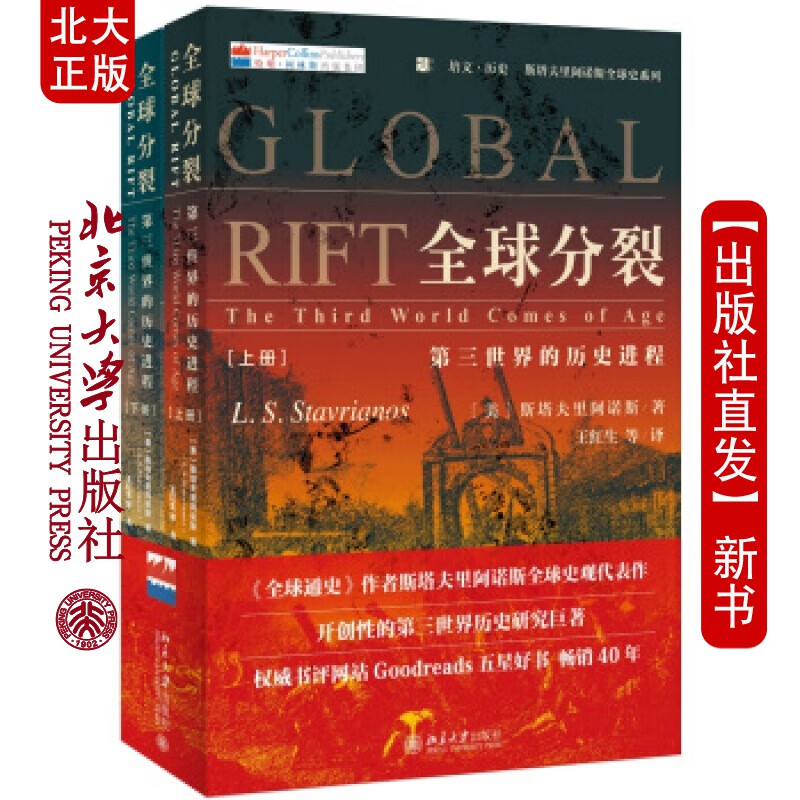 北大正版 分裂：第三世界的历史进程（上下册）