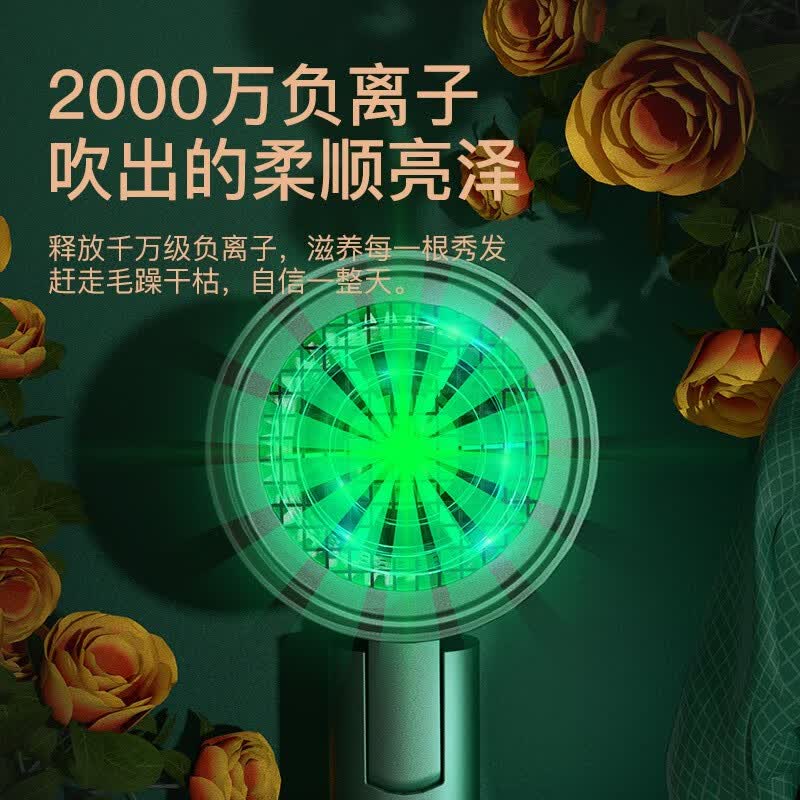 雷瓦(RIWA)电吹风机家用千万级负离子大风量速干2200W大功率便携可折叠冷热风恒温护发酒店宾馆商务沙龙 1600W网红款7305