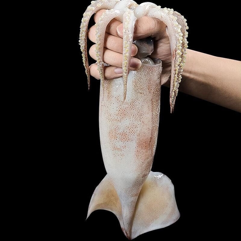 京东新品首发 2023-08-15 - 第22张  | 最新购物优惠券