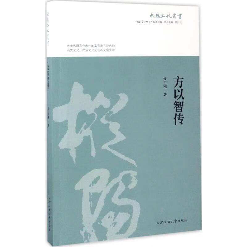 方以智传 钱王刚  书籍
