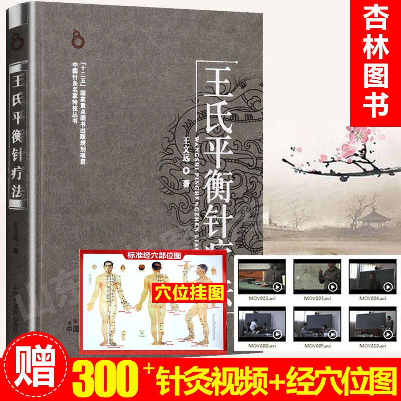 王氏平衡针疗法 王文远 著 中国针灸名家