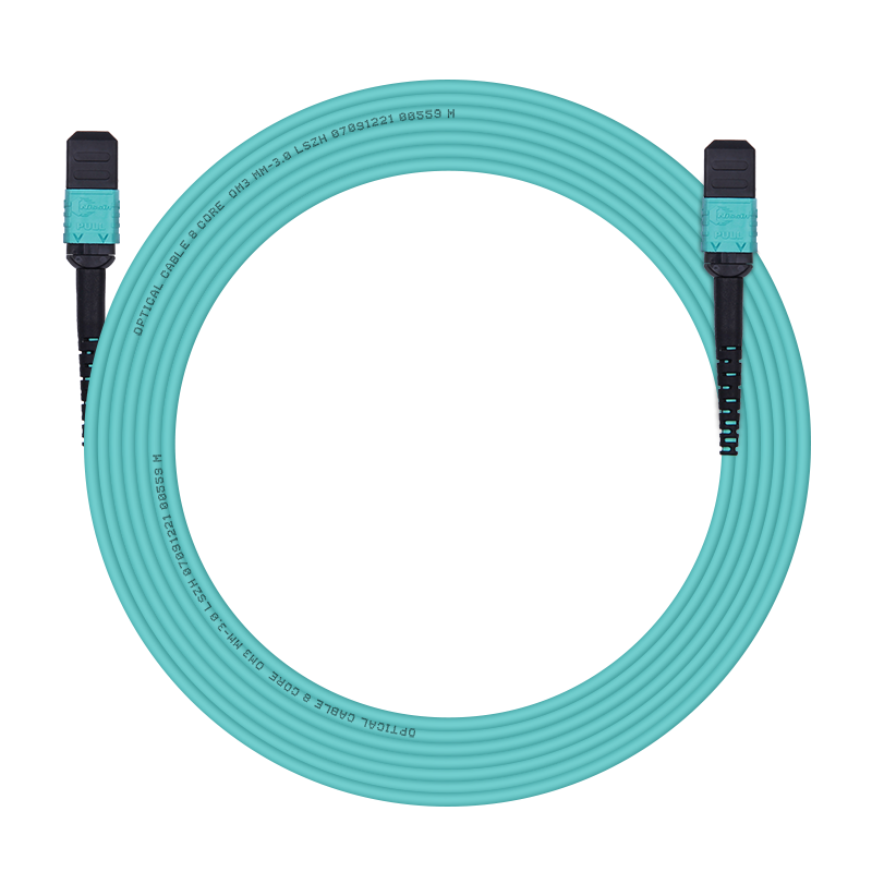 万兆通光电 40G MPO光纤跳线 万兆OM3/4多模MTP尾纤 12芯8芯束状100G光纤线 MPO-8LC 【OM3/8芯】 MPO/MPO 1米