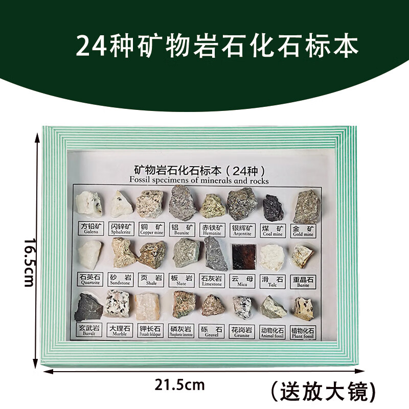 小学课堂教学种类多样简洁活跃思维矿物岩石化石标本地理配套石头矿石