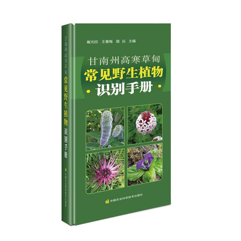 甘南州高寒草甸常见野生植物识别手册