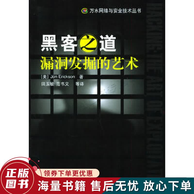 黑客之道：漏洞发掘的艺术