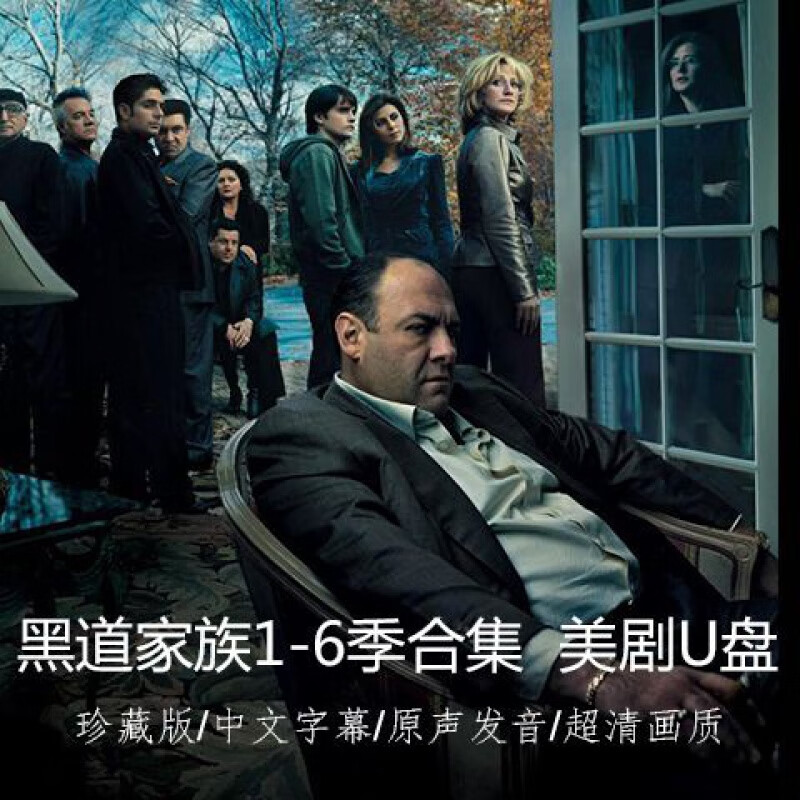 hknx美剧 u盘 黑道家族1-6季 蓝光画质支持手机otg转接 64gb 黑道家族