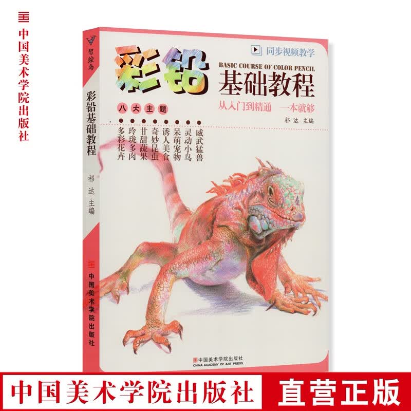 《彩铅基础教程》定价:55 祁达 主编 基础绘画技巧 中国美术学院 正版品牌直销 满58包邮