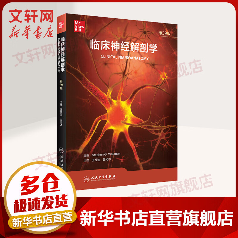 临床神经解剖学 第29版 图书