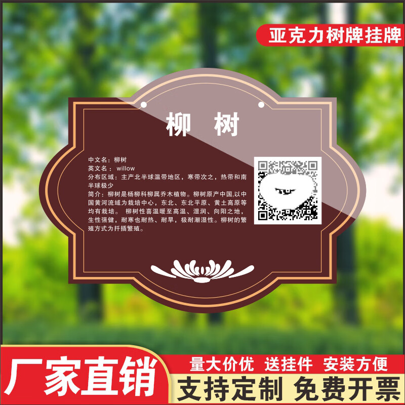 牌挂牌防水提示牌亚克力牌定做公园学校花卉介绍树木植物标识牌 柳树