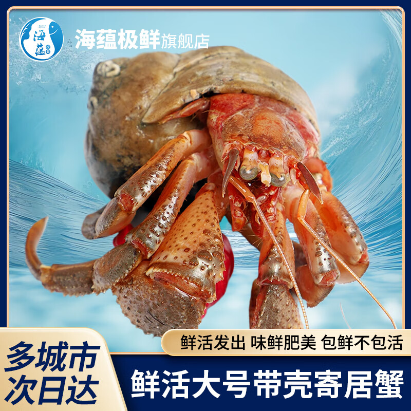 ���̼��ʡ����ʡ��ʻ�ʳ�üľ�з ����Ϻ�ִ��Ǻ������ʲ������տ� ���1000g6-10ֻ���ң��Ƹ��ࣩ 327Ԫ