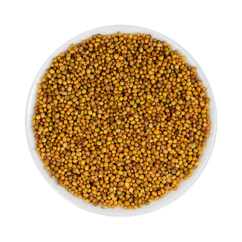 义松堂芥末籽500克 中药材原材料 精选黄芥子芥菜籽