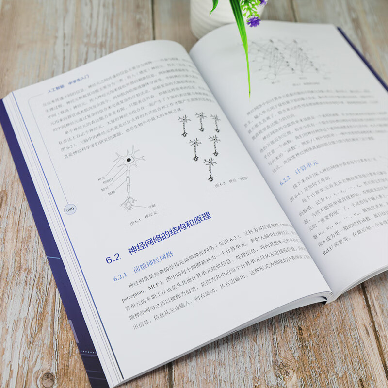 人工智能 中学生入门详情图