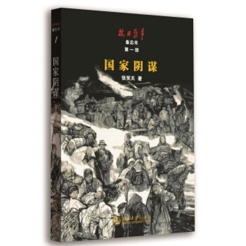 正版国家阴谋北京大学出版社