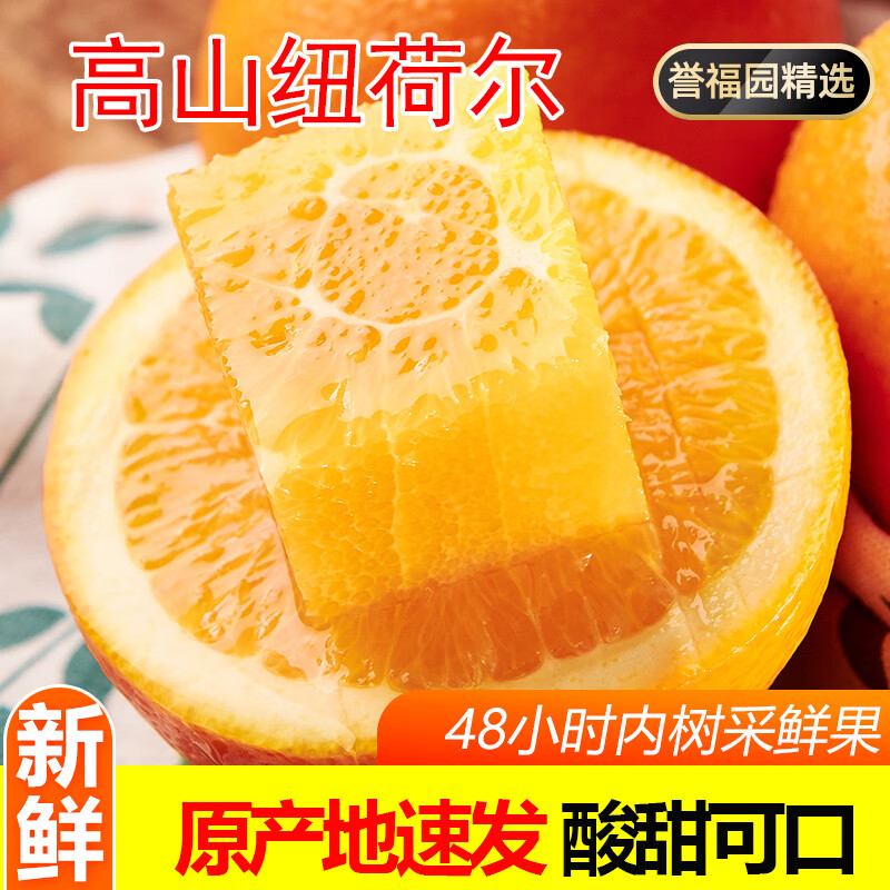誉福园高山脐橙秭归纽荷尔脐橙果冻鲜橙甜橙子品质水果时令孕妇手剥橙 9斤中果丨65-70mm丨老农精选