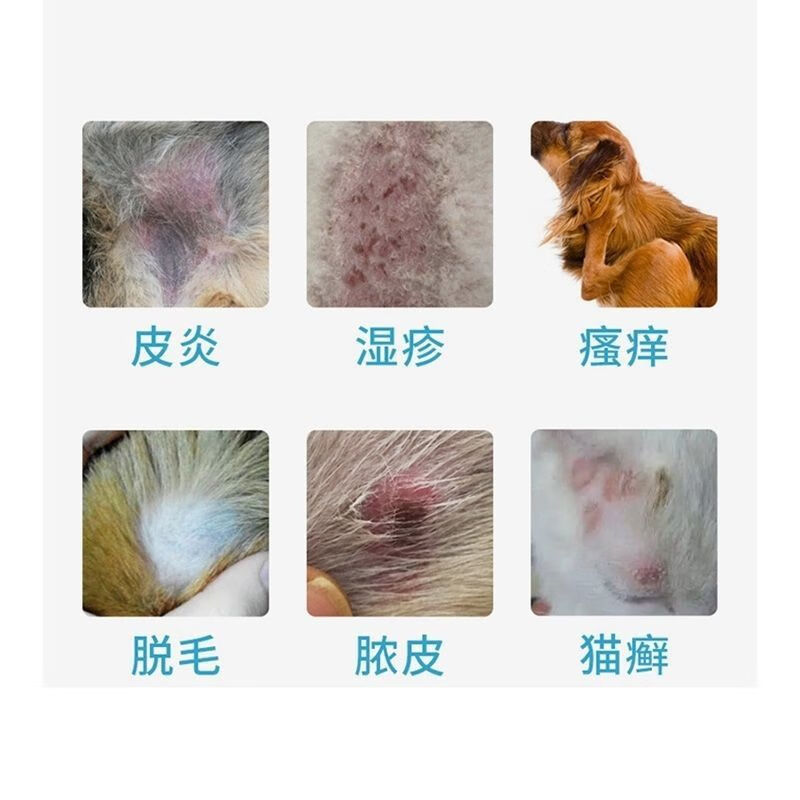 新宠之康领康小蓝瓶爽肤液犬猫狗真菌猫癣红疹螨虫皮屑脓皮症喷剂止痒