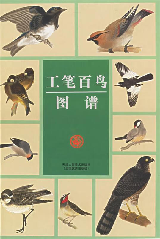 工笔百鸟图谱