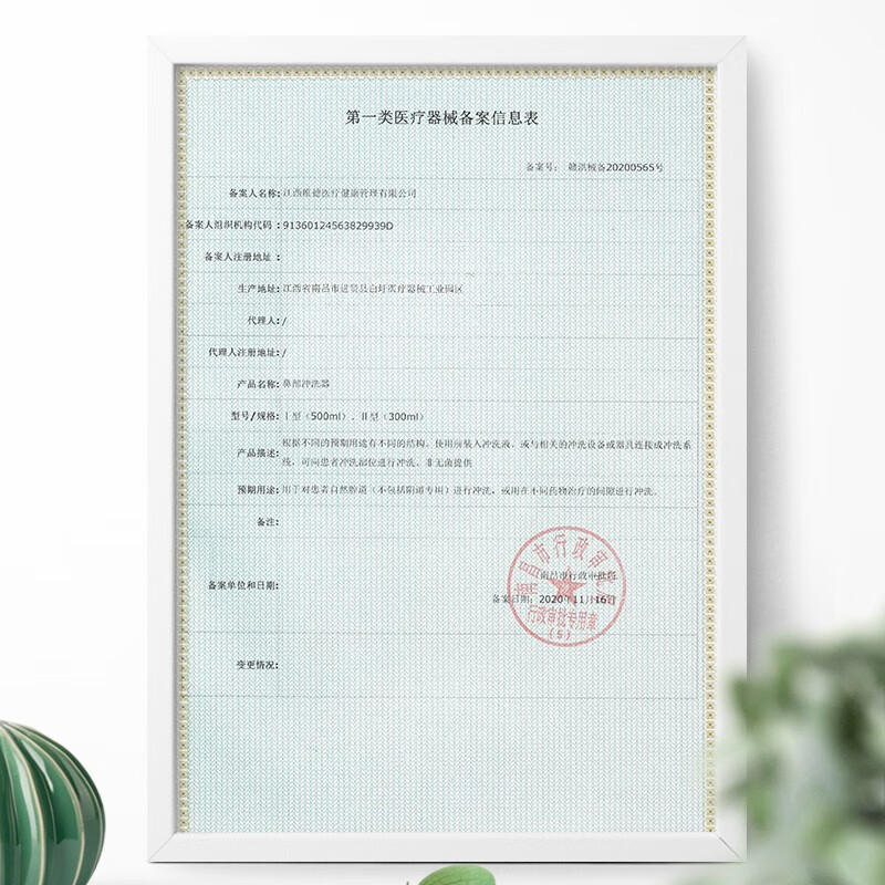 维德（WELLDAY）洗鼻器儿童成人洗鼻盐生理盐水洗鼻腔清洗器鼻炎喷剂非电动洗鼻器壶 洗鼻器500ml+30包盐+双洗鼻头