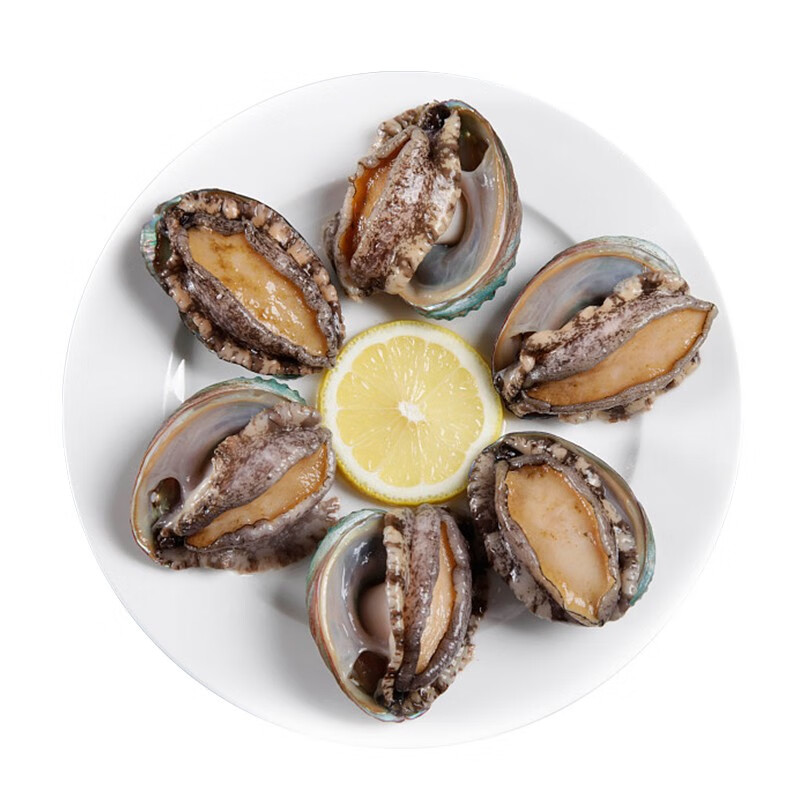 海泽鲜 京选新鲜活冻大鲍鱼9-11头/500g 生鲜贝类 深海九头鲍 海鲜水