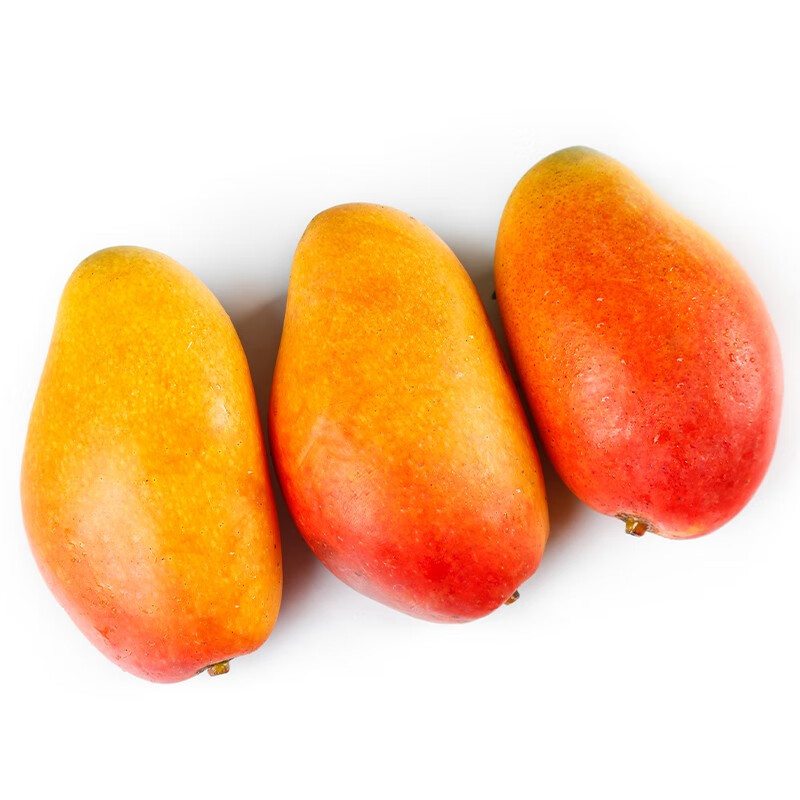 鸣春谷 新鲜现摘生芒果 贵妃芒果 带箱4.8-5斤特大果b (450-750g)